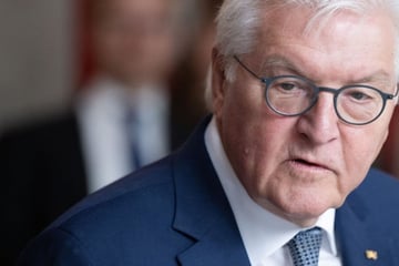 Bundespräsident Steinmeier warnt:
