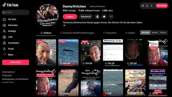 Screenshot der Webansicht eines TikTok-Profils im Darkmode